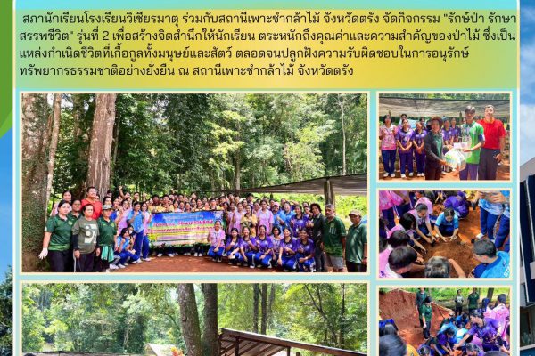 ภานักเรียนโรงเรียนวิเชียรมาตุ ร่วมกับสถานีเพาะชำกล้าไม้ จังหวัดตรัง จัดกิจกรรม “รักษ์ป่า รักษาสรรพชีวิต” รุ่นที่ 2